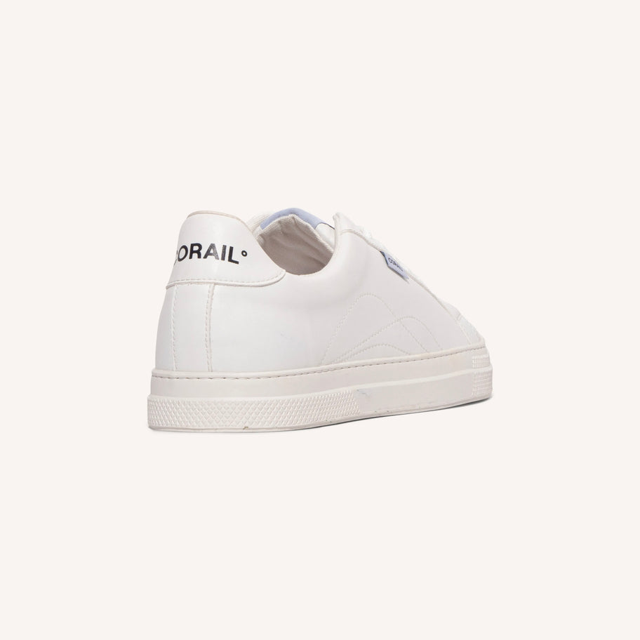 ORIGINS POLAR