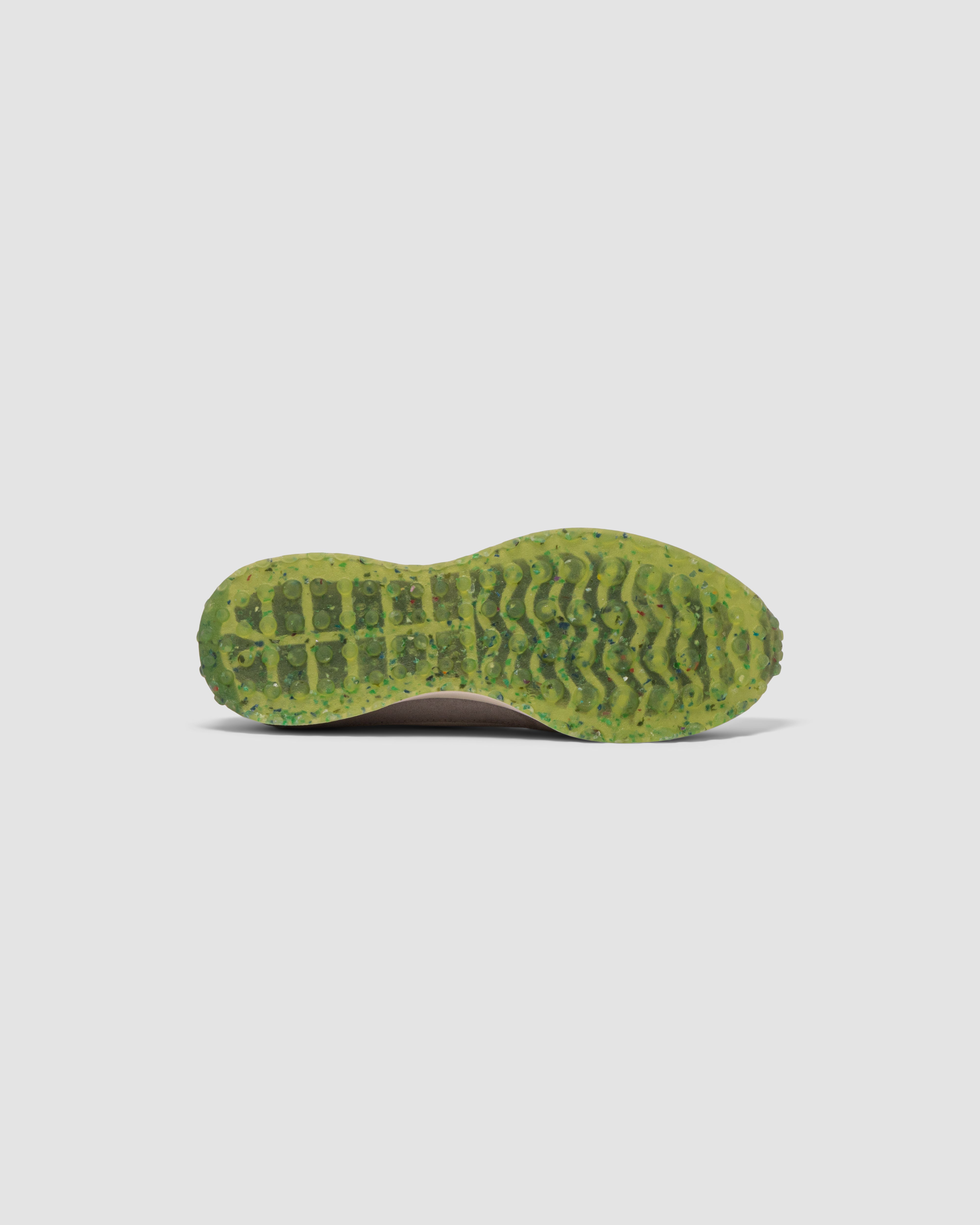 ALGAE CEMENT